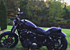 2016 Harley-Davidson Sportster for sale 200536933