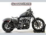 2016 Harley-Davidson Sportster for sale 201565956