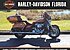 2016 Harley-Davidson Touring for sale 200673065