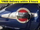 Thumbnail Photo 31 for 2016 Harley-Davidson Softail
