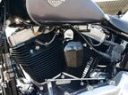 Thumbnail Photo 13 for 2016 Harley-Davidson Softail