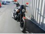 2016 Harley-Davidson Street 750 for sale 201398263