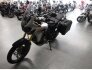 2016 Honda Africa Twin for sale 201383869