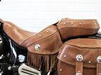 Thumbnail Photo 19 for 2016 Indian Chief Vintage