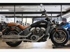 Thumbnail Photo 2 for 2016 Indian Scout