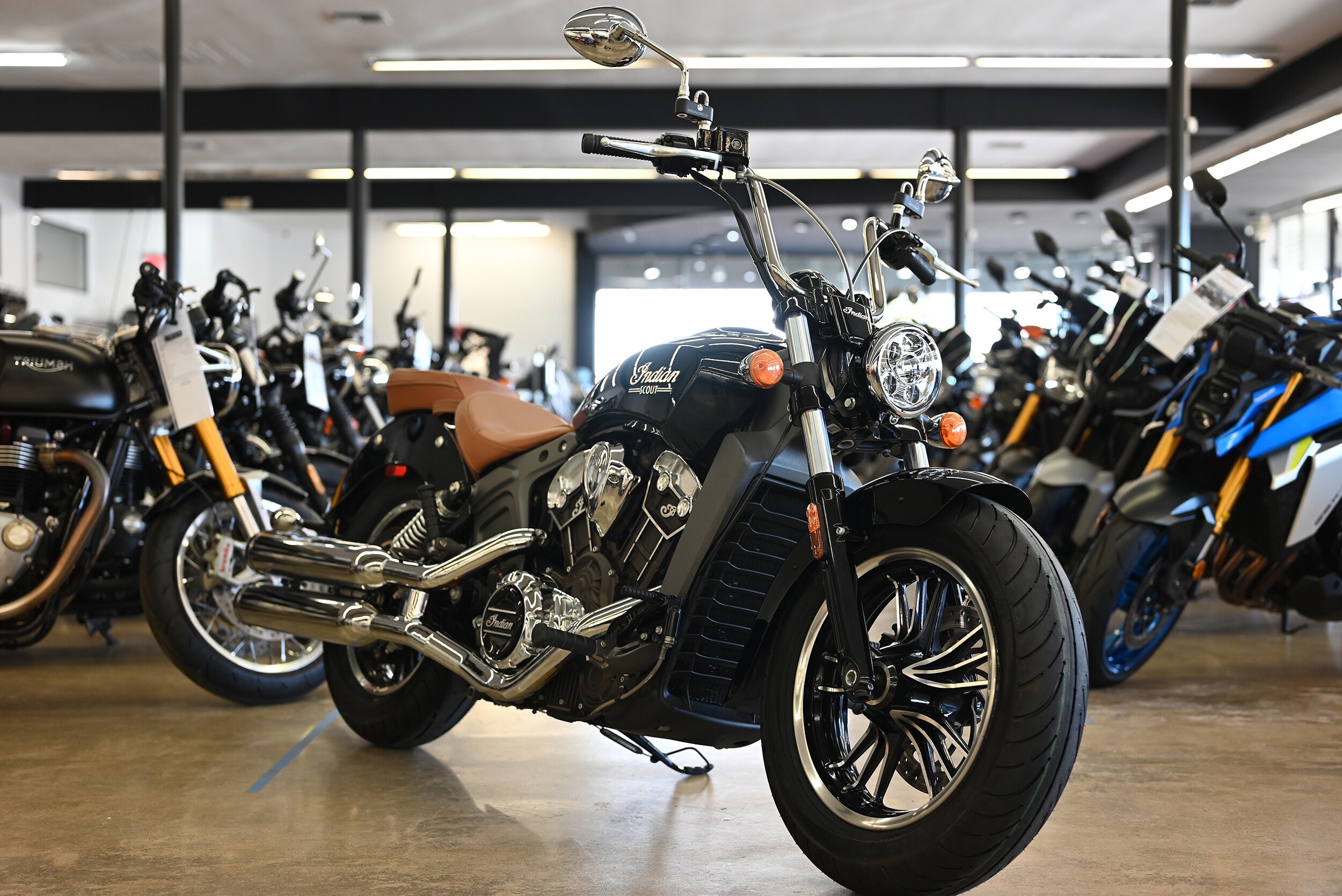 2016 Indian Scout Motorcycles for Sale Motorcycles on Autotrader