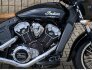 2016 Indian Scout for sale 201388341