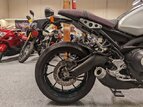 Thumbnail Photo 8 for 2016 Yamaha XSR900