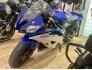 2016 Yamaha YZF-R6 for sale 201374008