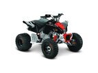 2017 Can-Am DS 250 90 X specifications