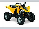 2017 Can-Am DS 250 for sale 201559512