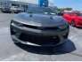 2017 Chevrolet Camaro SS for sale 101760471
