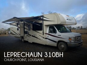 2017 Coachmen Leprechaun 310BH for sale 300425775