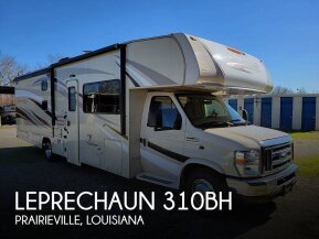 2017 Coachmen Leprechaun 310BH for sale 300426101