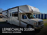 2017 Coachmen Leprechaun 310BH for sale 300426101