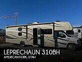 2017 Coachmen Leprechaun 310BH for sale 300495055