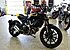 2017 Ducati Scrambler 800 for sale 200619488