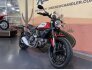 2017 Ducati Scrambler 800 for sale 201356232