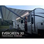 2017 EverGreen I-GO for sale 300347169