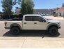 2017 Ford F150 for sale 101634341