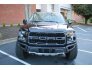 2017 Ford F150 for sale 101634443