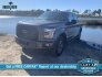 2017 Ford F150 for sale 101653046
