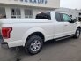 2017 Ford F150 for sale 101682029