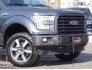 2017 Ford F150 for sale 101691536