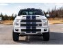 2017 Ford F150 for sale 101693583