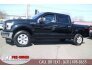 2017 Ford F150 for sale 101712264