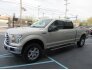 2017 Ford F150 for sale 101730925
