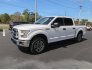 2017 Ford F150 for sale 101733297