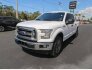 2017 Ford F150 for sale 101733297