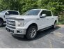 2017 Ford F150 for sale 101734870