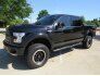 2017 Ford F150 for sale 101735340
