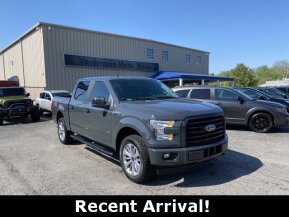 2017 Ford F150 for sale 101738778