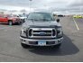 2017 Ford F150 for sale 101740856