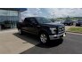 2017 Ford F150 for sale 101740856