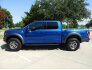 2017 Ford F150 for sale 101744733