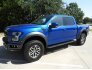 2017 Ford F150 for sale 101744733