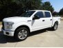 2017 Ford F150 for sale 101752216