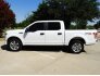 2017 Ford F150 for sale 101752216