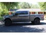 2017 Ford F150 for sale 101754411