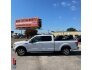 2017 Ford F150 for sale 101755563