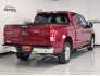 2017 Ford F150 for sale 101755564