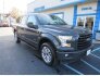 2017 Ford F150 for sale 101764720