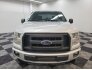 2017 Ford F150 for sale 101771951