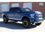 2017 Ford F150 for sale 101774756