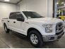 2017 Ford F150 for sale 101776547