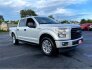 2017 Ford F150 for sale 101778186